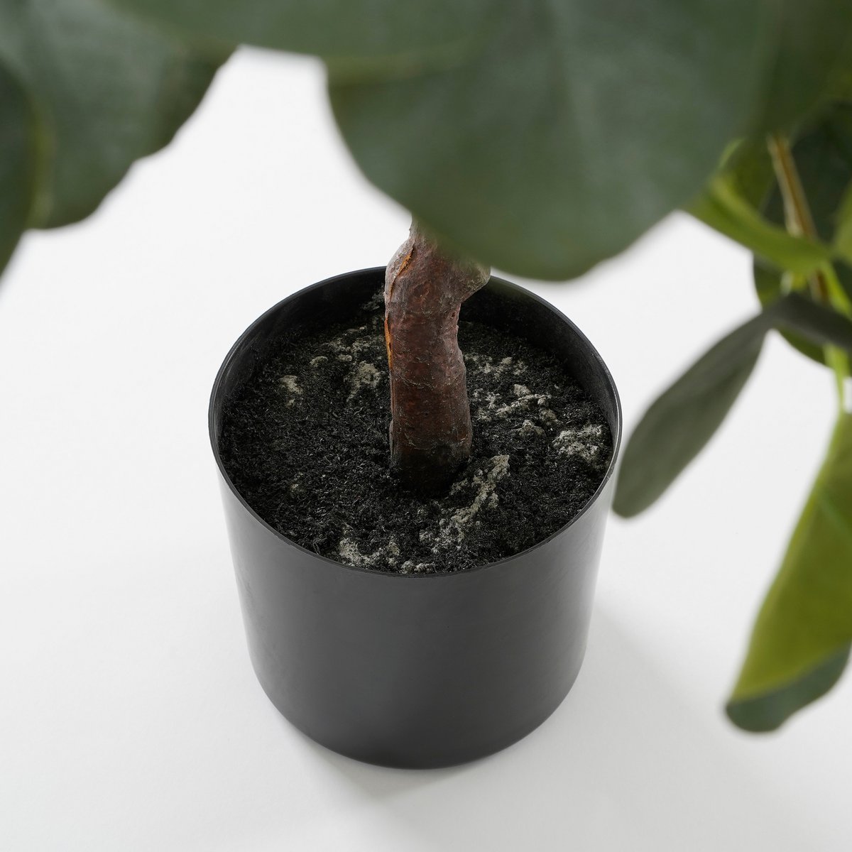 Eucalyptus Kunstplant in Bloempot - H75 x Ø15 cm - Groen