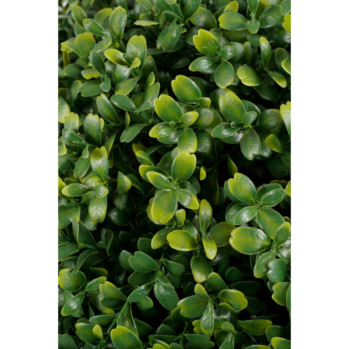 Buxus Kunstplant in Pot - H50 x Ø40 cm - Groen